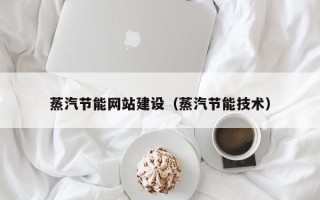 儋州蒸汽节能网站建设（蒸汽节能技术）