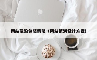儋州网站建设包装策略（网站策划设计方案）